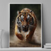 Tigre
