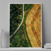 Paisagem da floresta e campos trigo