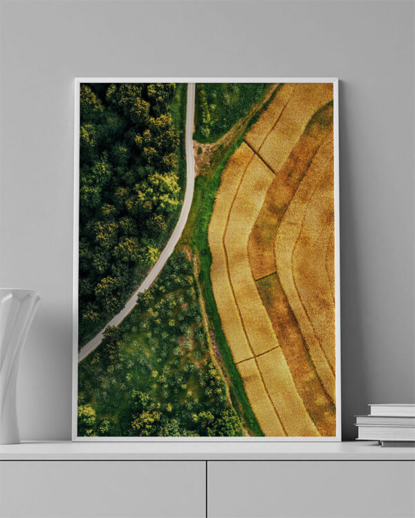 Paisagem da floresta e campos trigo