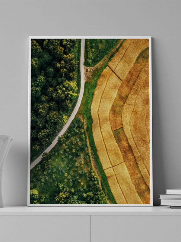 Paisagem da floresta e campos trigo
