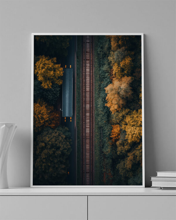 Arvores e rodovia de trem